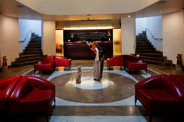 Hotel Ripa Roma image 6